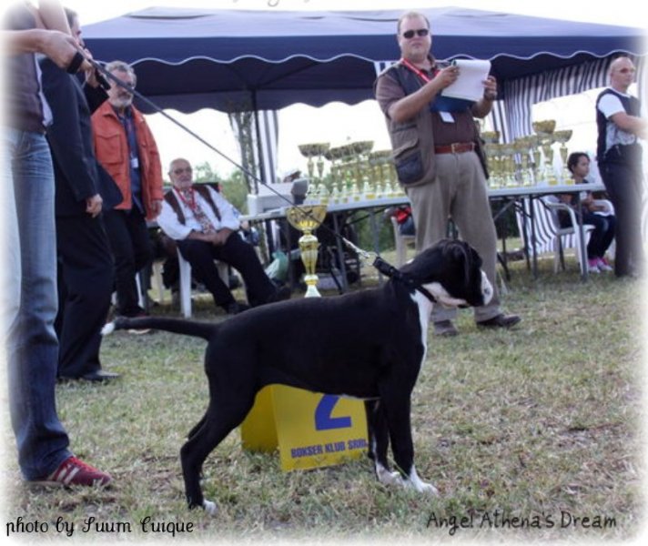 JSZ Srbija 2010, II.mesto