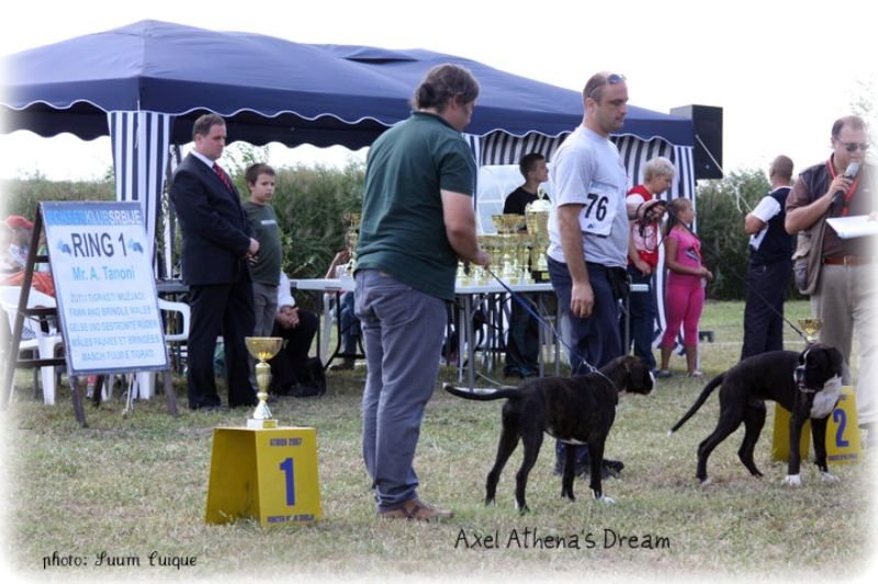 JSZ Srbija 2010, Axel I.mesto