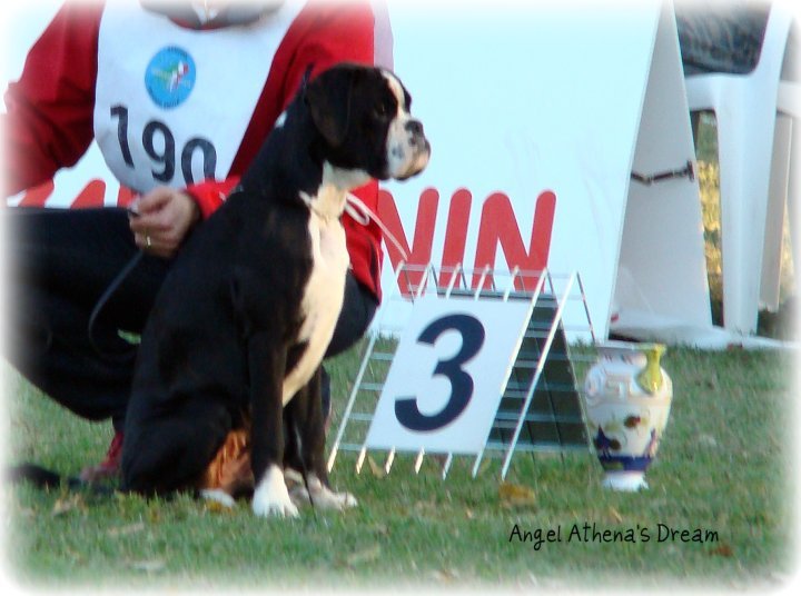 Campionato 2010, Angel III.mesto