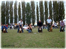 Campionato 2010, vzrejna skupina AxelMose', II.mesto