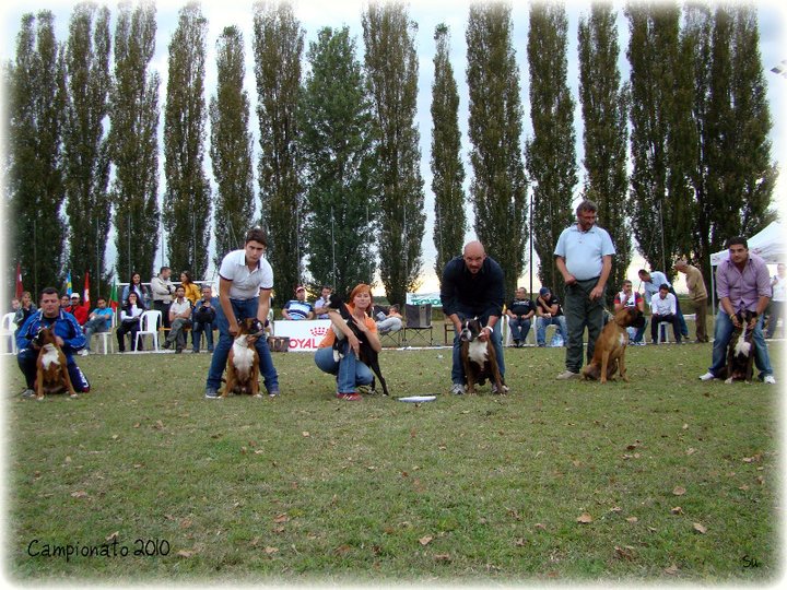 Campionato 2010, vzrejna skupina AxelMose', II.mesto