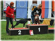 JSZ Slovenija 2010, Angel II.mesto