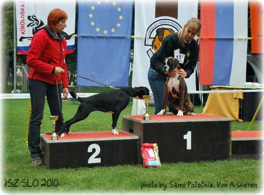 JSZ Slovenija 2010, Angel II.mesto