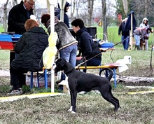 Raduno Veneto 2013, Angel I.mesto