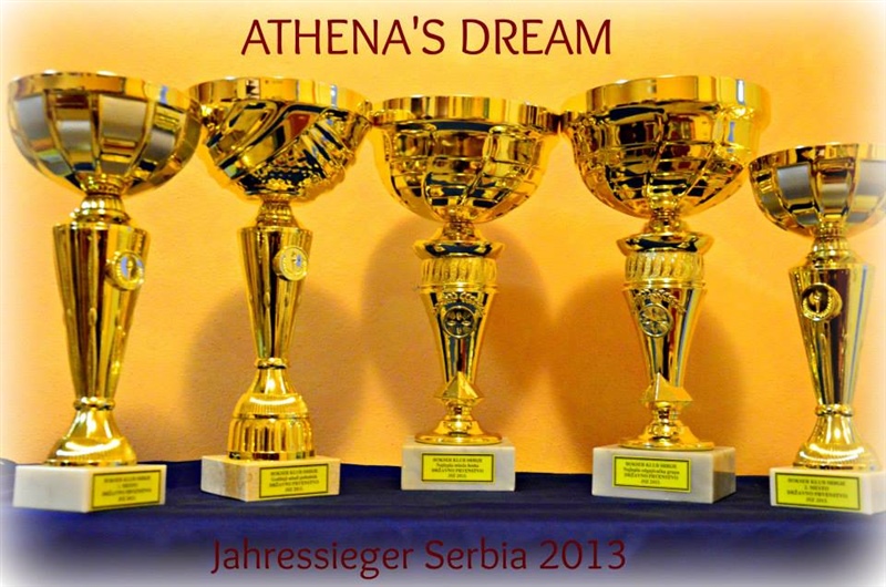 JZS Srbija 2013