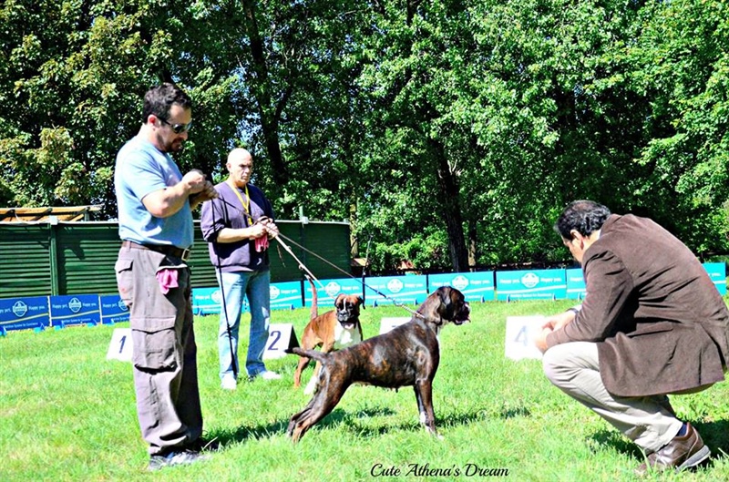 Raduno Parma 2014, Cute III.mesto