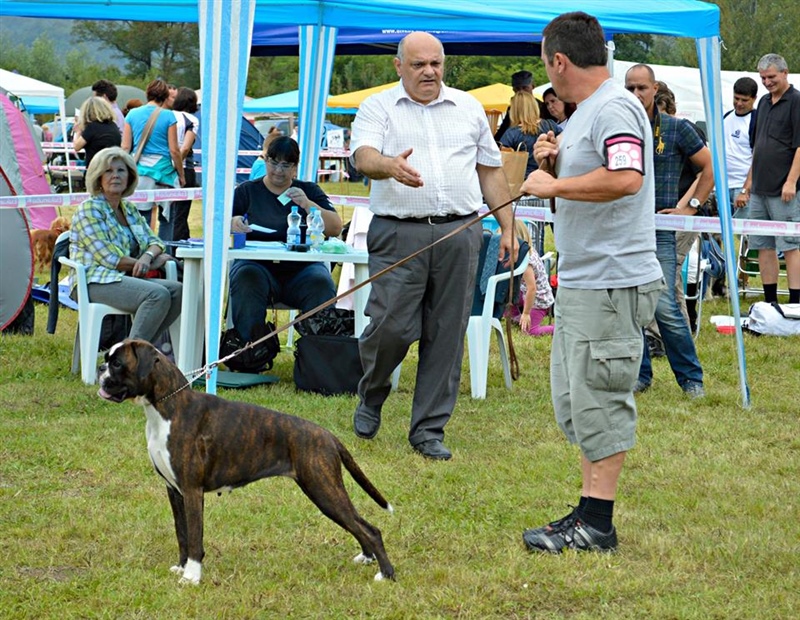 CAC Trbovlje 2014, Cute I.mesto