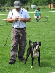 JSZ Slovenija 2012, ANGEL Najlepša samička slovenske vzreje