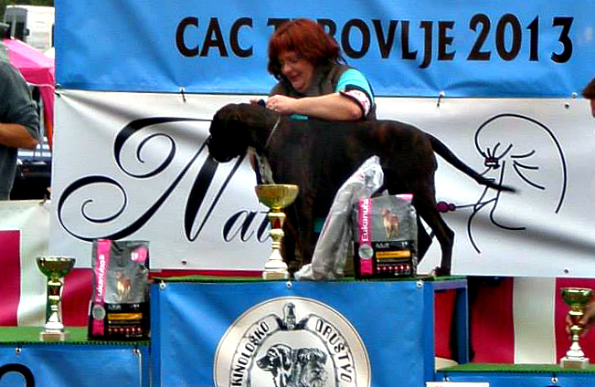 CAC Trbovlje 2013, Barby BOB + Najlepši pes Zasavja