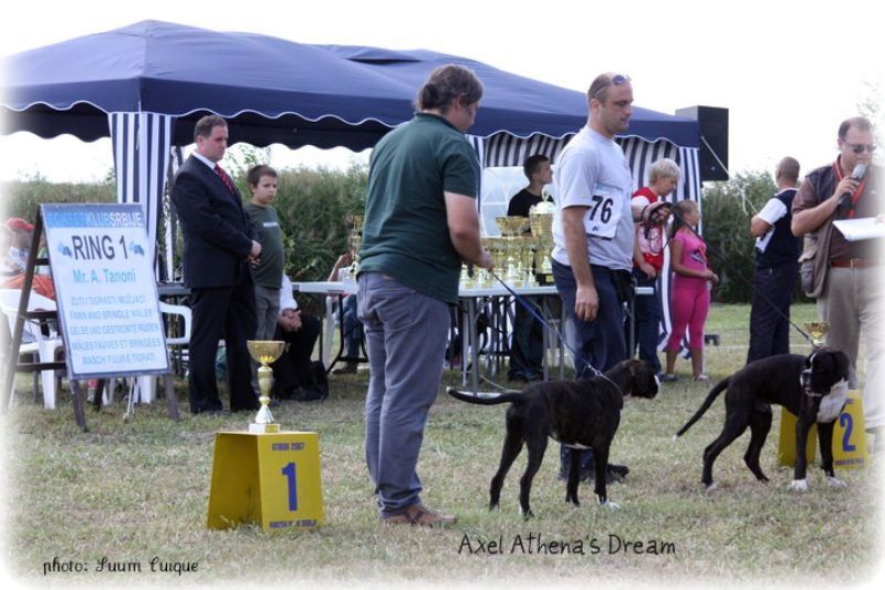 JSZ Srbija 2010, Axel I.place