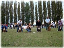 Campionato 2010, Breeding group AxelMose', II.place