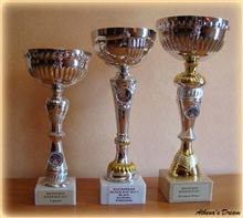 Ravangrad Boxer cup 2011