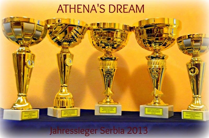 JZS Serbia 2013