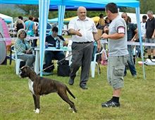 CAC Trbovlje 2014, Cute I.place